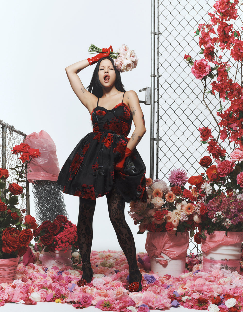 Betsey Johnson Lucia Red Rose Print Mini Dress